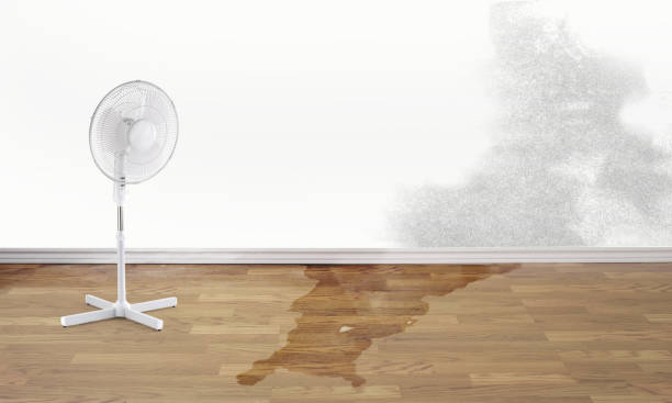 Best 24-hour water damage restoration  in Brownsville, TN