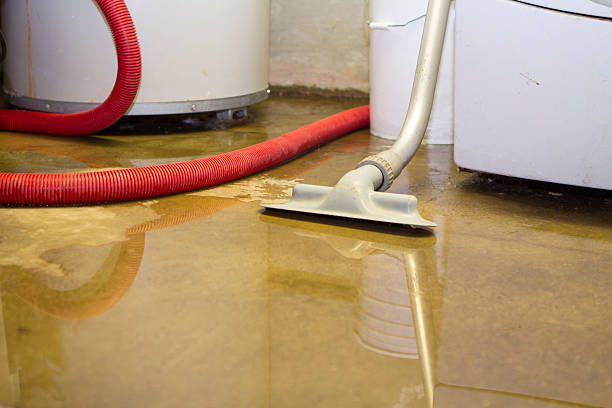 Best Carpet water damage restoration  in Brownsville, TN