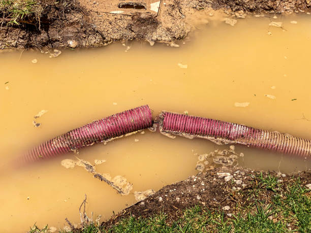 Trusted Brownsville, TN Water damage restoration Experts